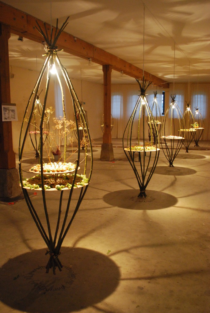 Birgit Kratzheller: Installation TASTY BULBS 